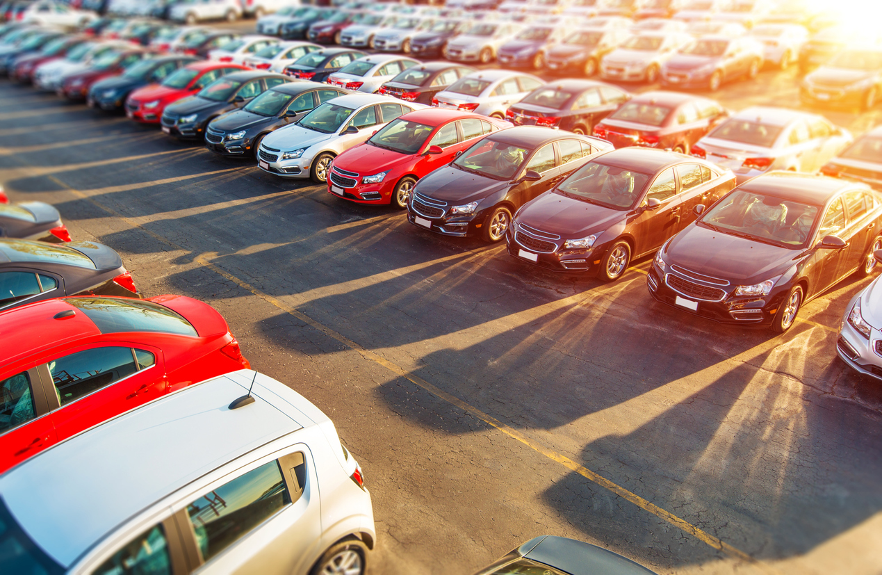 cars lined up in a dealership lot